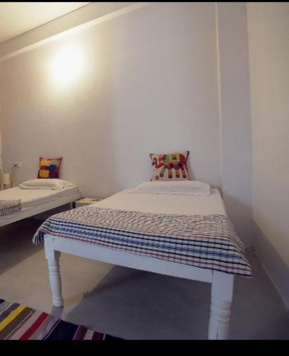Eco Family Hostel Jaipur Eksteriør bilde